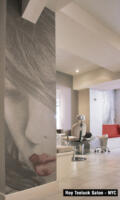 Wall Mural for Salon.